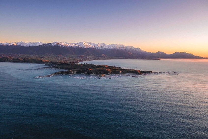 Picture 7 for Activity Kaikoura: Extended Flight Whale Watching & Mountain Tour