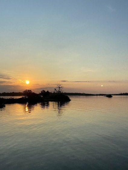 Picture 3 for Activity Crystal River: Backwater Adventure on an Airboat