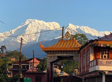 Morning half day Tibetan cultural tour