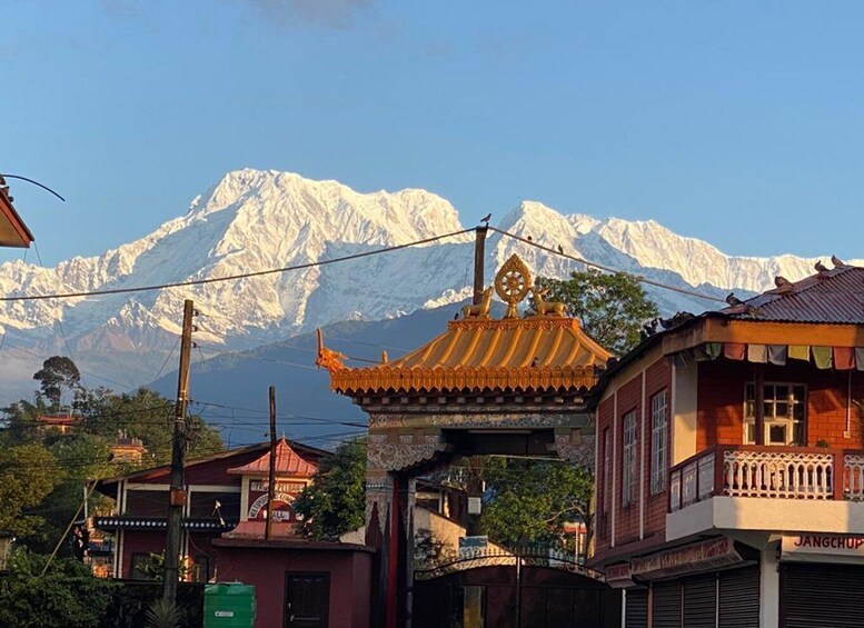 Morning half day Tibetan cultural tour