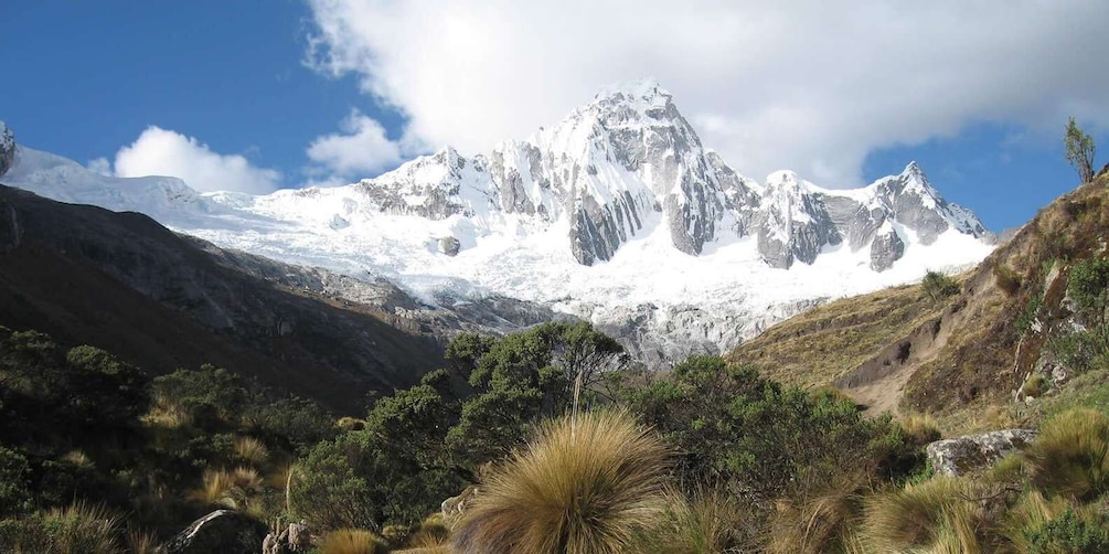 Picture 2 for Activity From Ancash: Trekking Alpamayo Cedars |9Days-8Nights|