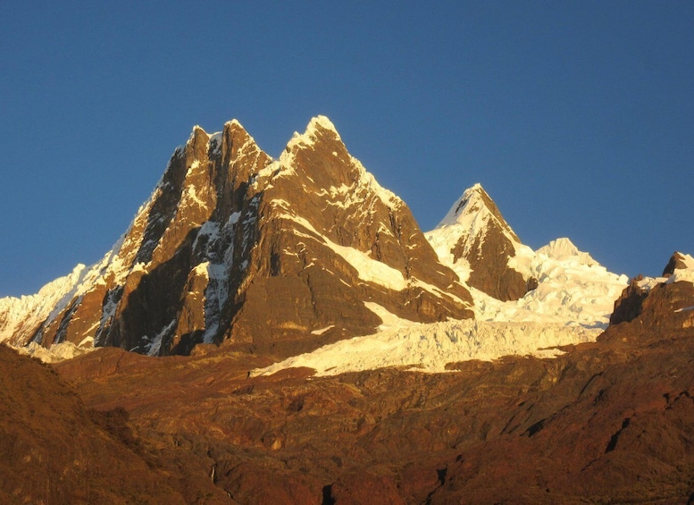 Picture 4 for Activity From Ancash: Trekking Alpamayo Cedars |9Days-8Nights|