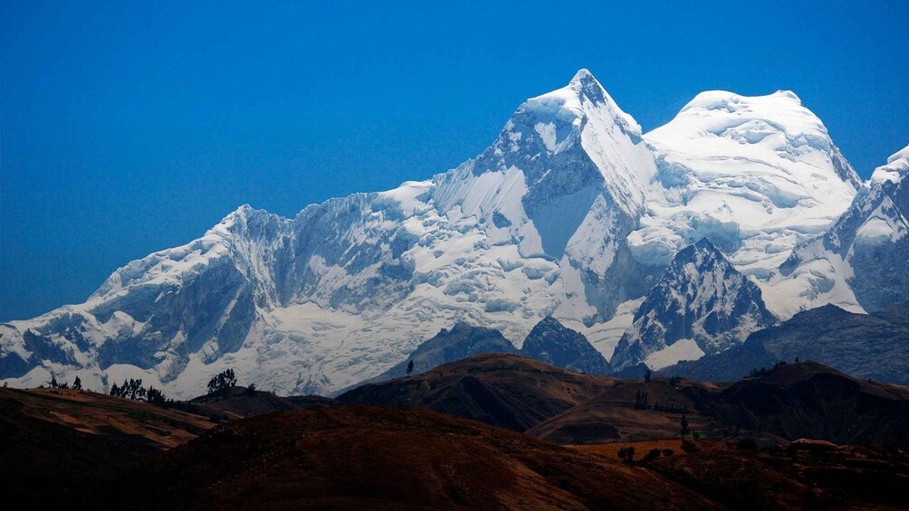 Picture 3 for Activity From Ancash: Trekking Alpamayo Cedars |9Days-8Nights|