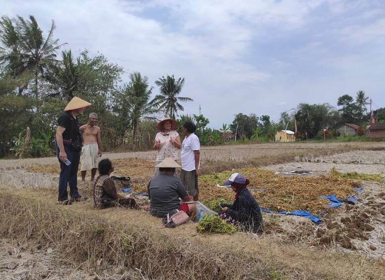 Picture 11 for Activity Yogyakarta: Village Cycling Tour Feel Real Local Atmosphere