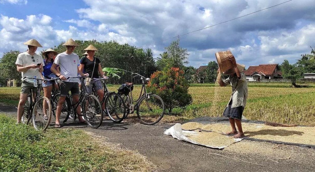 Picture 18 for Activity Yogyakarta: Village Cycling Tour Feel Real Local Atmosphere