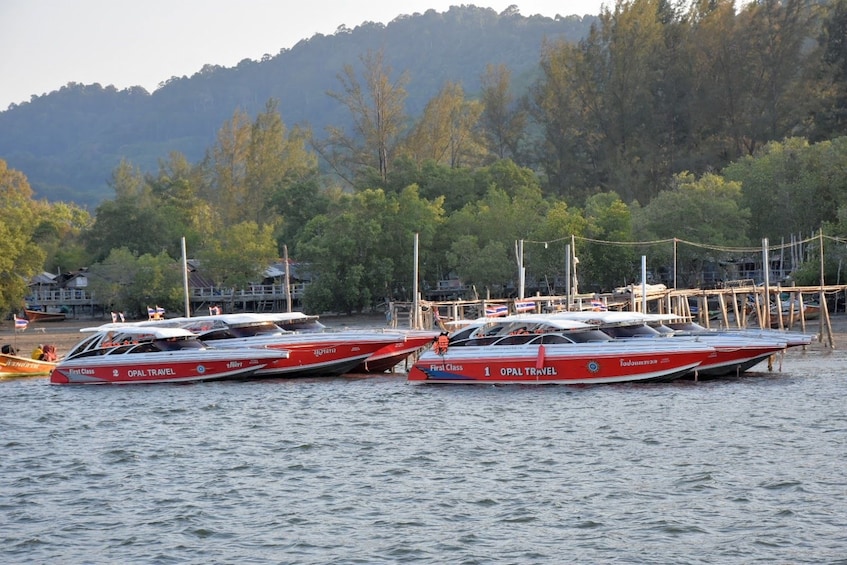 Phi Phi Islands Snorkeling Excursion with Buffet Lunch from Koh Lanta