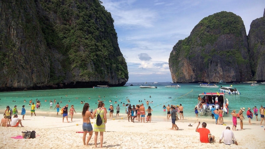 Phi Phi Islands Snorkeling Excursion with Buffet Lunch from Koh Lanta