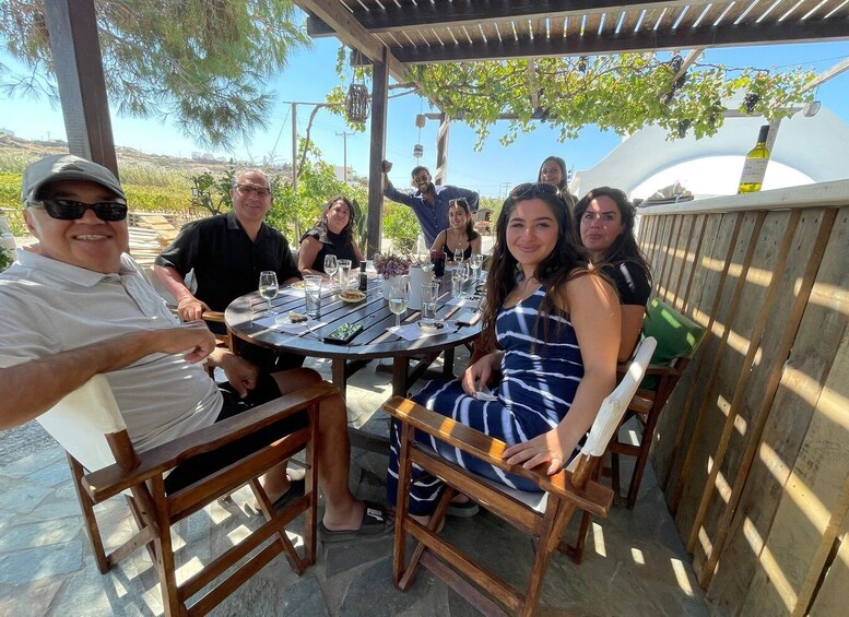 Picture 2 for Activity Naxos: Private Vineyard Tour & Wine Tasting with an Expert