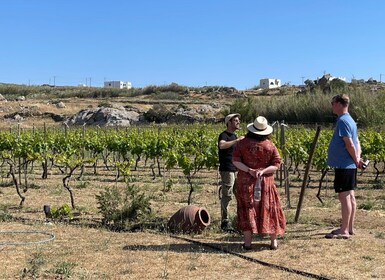 Naxos : Vignoble privé excursion et dégustation de vin avec un expert