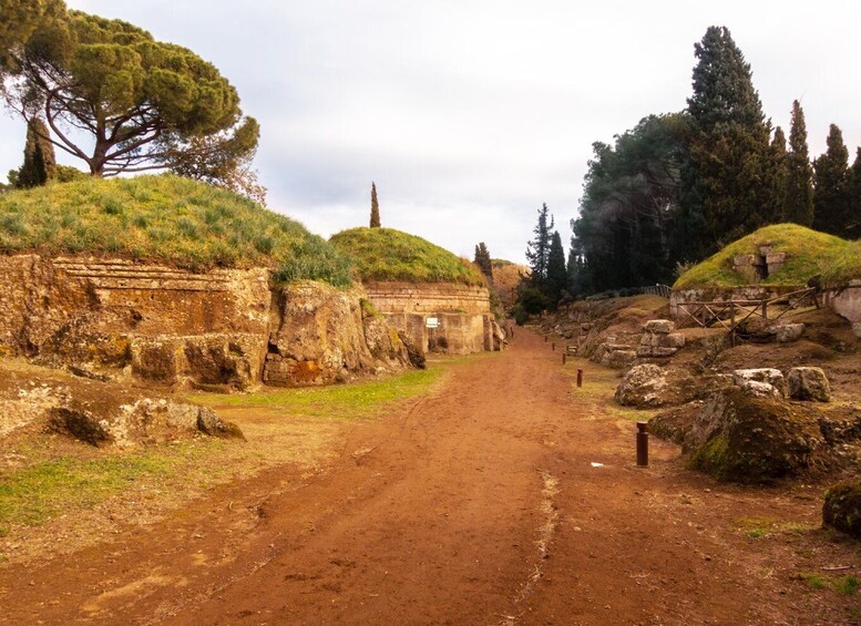 Picture 6 for Activity Day trip Rome: Tarquinia and Cerveteri, Etruschi tour