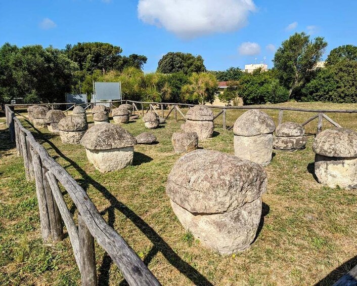 Picture 7 for Activity Day trip Rome: Tarquinia and Cerveteri, Etruschi tour