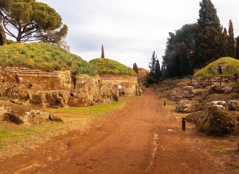 Picture 6 for Activity Day trip Rome: Tarquinia and Cerveteri, Etruschi tour