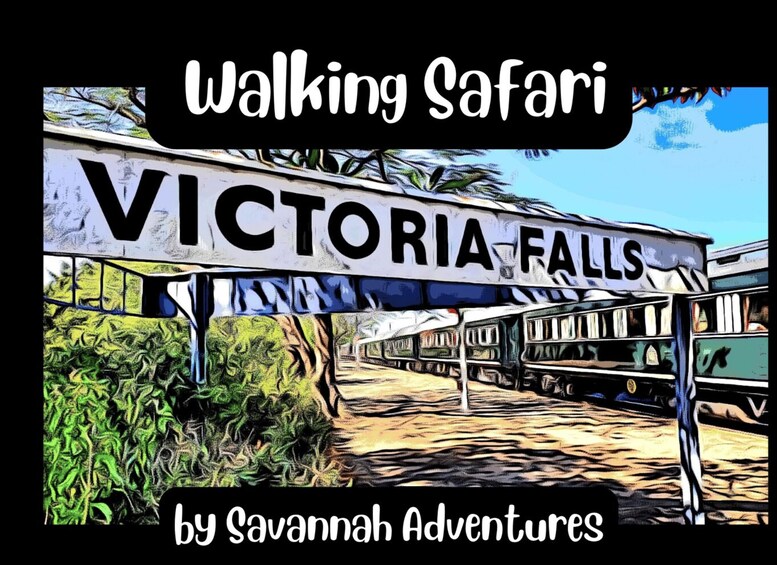 Picture 1 for Activity Victoria Falls Zimbabwe Bar Safari Walking Tour