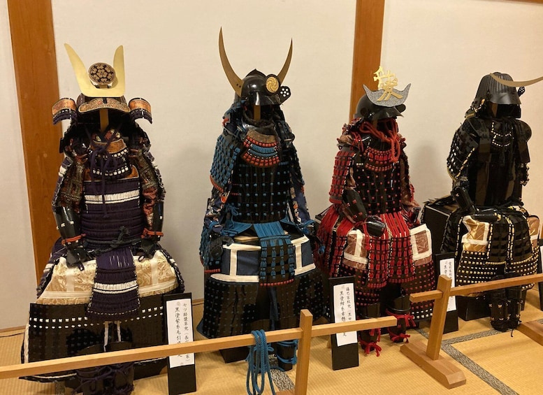 Tamba Sasayama: Private Historic Samurai Tour