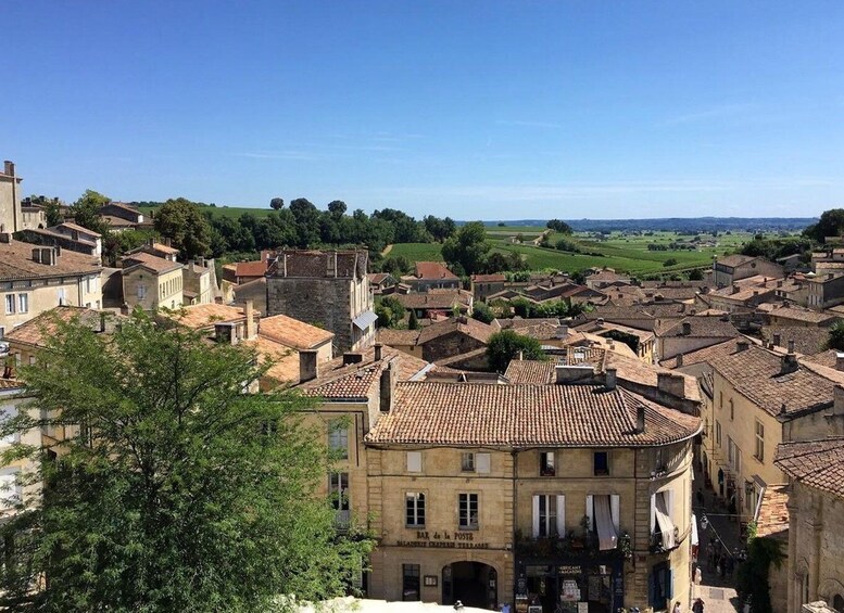 Picture 7 for Activity Saint-Emilion E-Bike Wine Tour - 2 wineries & Picnic Lunch