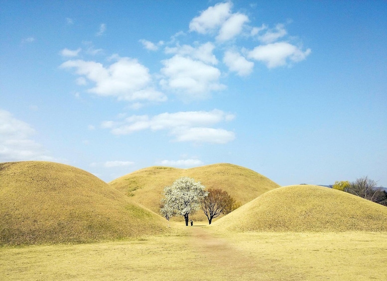 Picture 26 for Activity Busan: Gyeongju Guided Day Trip to Three Kingdoms Capital