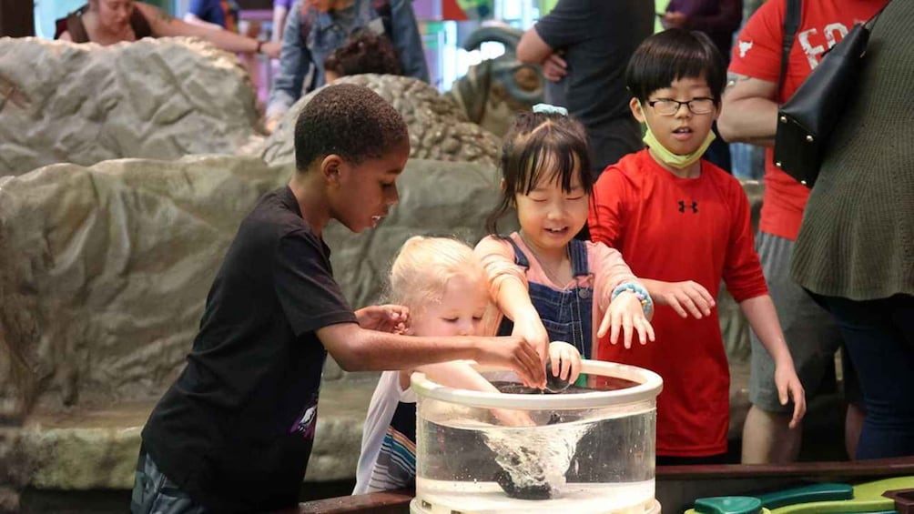 Picture 3 for Activity Denver: Museum of Nature and Science Entry Ticket