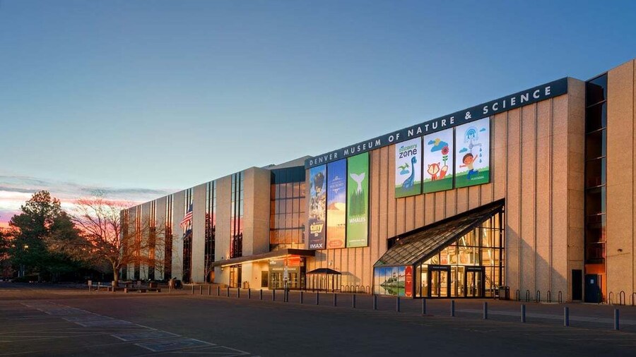 Denver: Museum of Nature and Science Entry Ticket