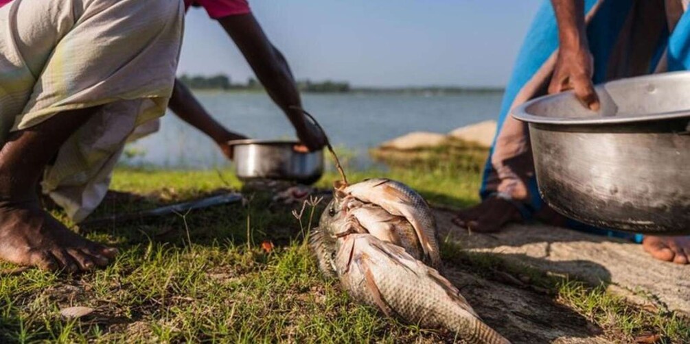 Yala: Lake fishing and village dining tour!