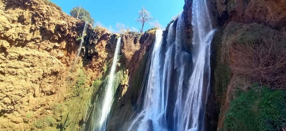 Picture 14 for Activity From Marrakech: Ouzoud Waterfalls Day Trip and Boat Tour