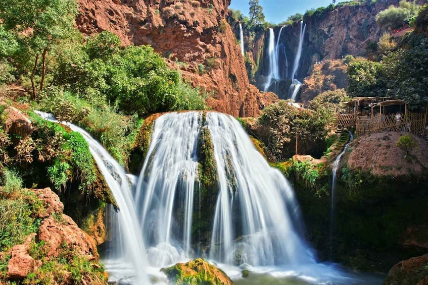 Picture 5 for Activity From Marrakech: Ouzoud Waterfalls Day Trip and Boat Tour