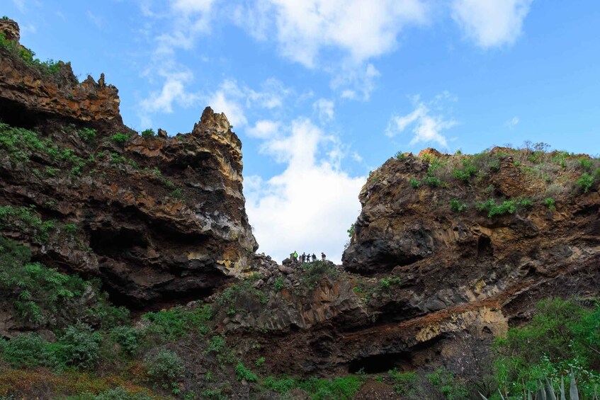 Picture 5 for Activity La Palma: Porís de Candelaria Hiking tour