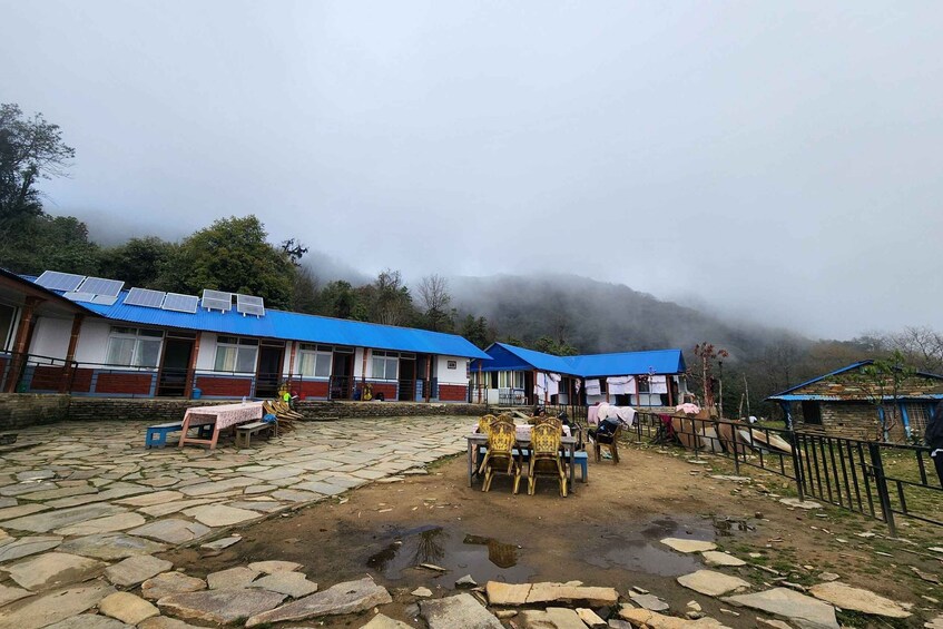 Picture 4 for Activity Pokhara: 4-Day Mardi Himal Trek