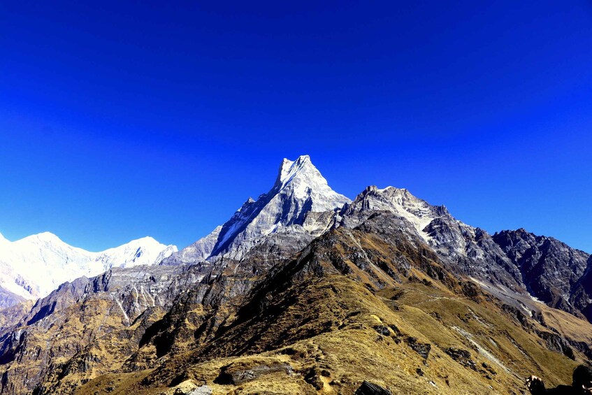 Mardi Himal Trek - 4 Days from Pokhara