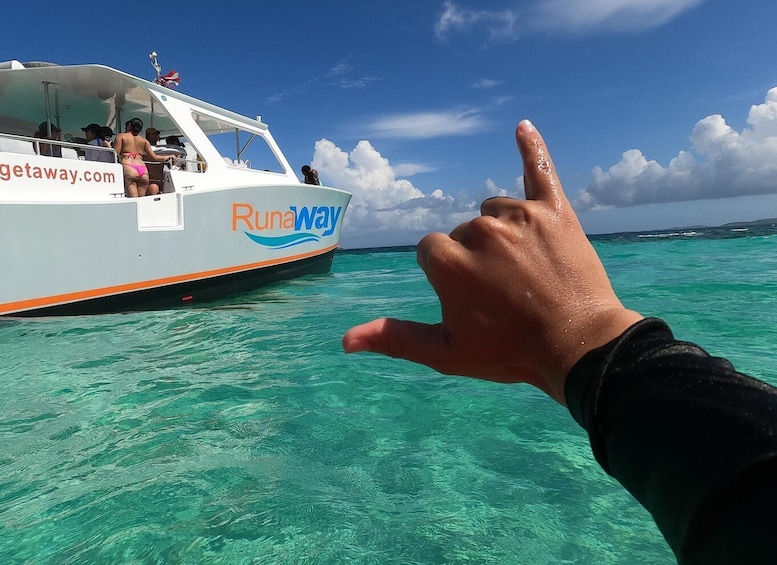 Picture 7 for Activity Fajardo: Icacos Power Boat Trip with Snorkel, Lunch & Drinks