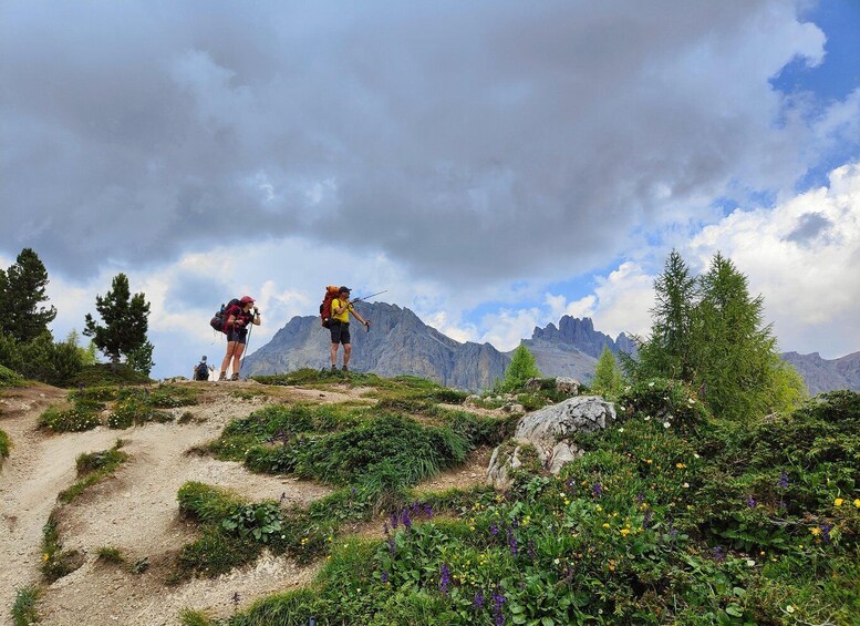 Picture 7 for Activity Explore the Dolomites, a hiking day in the mountains