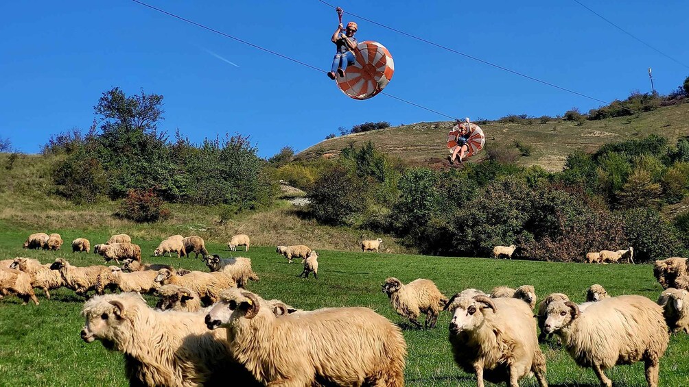 Cluj: Outdoor Activities Day Trip with Zip Line and Hike