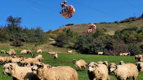 Cluj: Outdoor-Aktivitäten Tagesausflug mit Zip Line und Wanderung