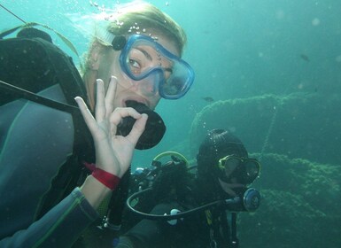 Fréjus: Diving Experience in Port-Fréjus with an Instructor