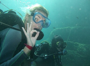 Fréjus: Diving Experience in Port-Fréjus with an Instructor