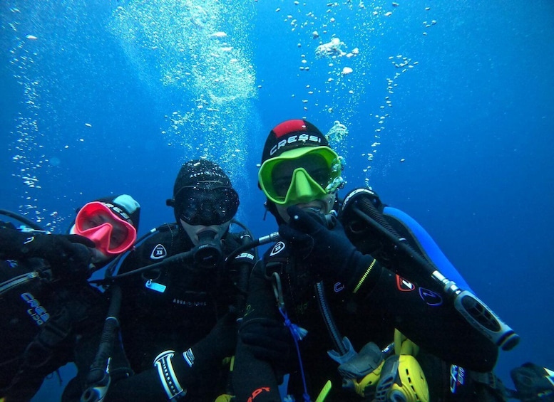 Picture 6 for Activity Fréjus: Diving Experience in Port-Fréjus with an Instructor