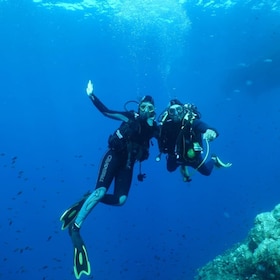 Fréjus: Diving Experience in Port-Fréjus with an Instructor