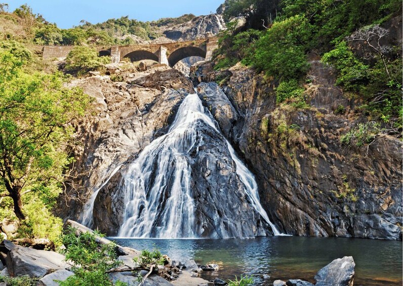 Picture 2 for Activity Spirituality of Goa with Dudhsagar Fall Day Tour by a car