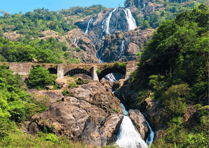 Spirituality of Goa with Dudhsagar Fall Day Tour by a car