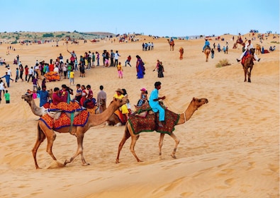 Safari por el desierto de Jaisalmer: recorrido turístico guiado de medio dí...