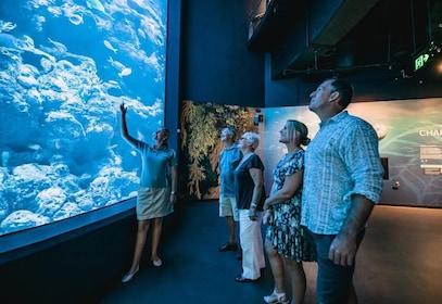 Cairns: Night at the Aquarium Guided Tour & 2 Course Dinner