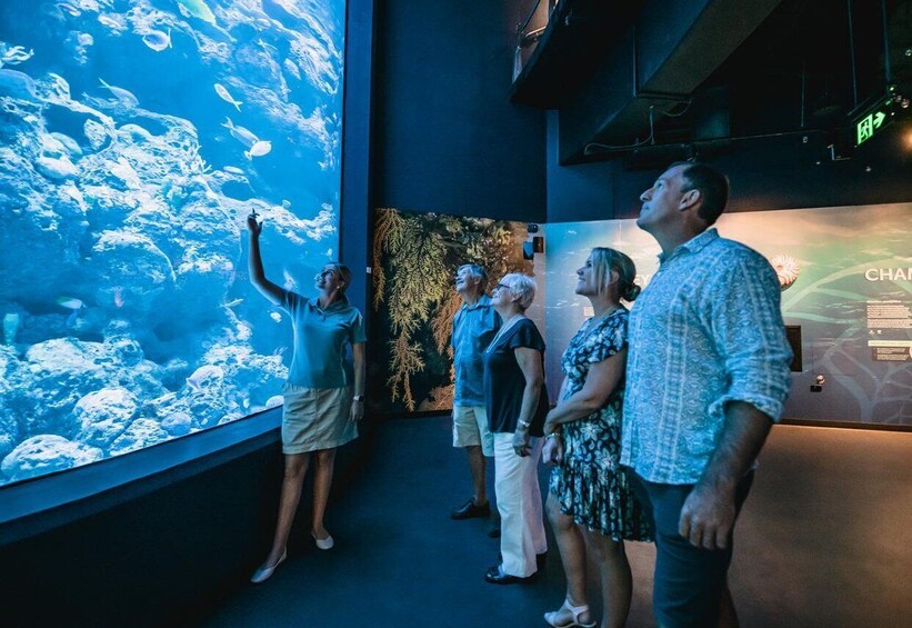 Cairns: Night at the Aquarium Guided Tour & 2 Course Dinner