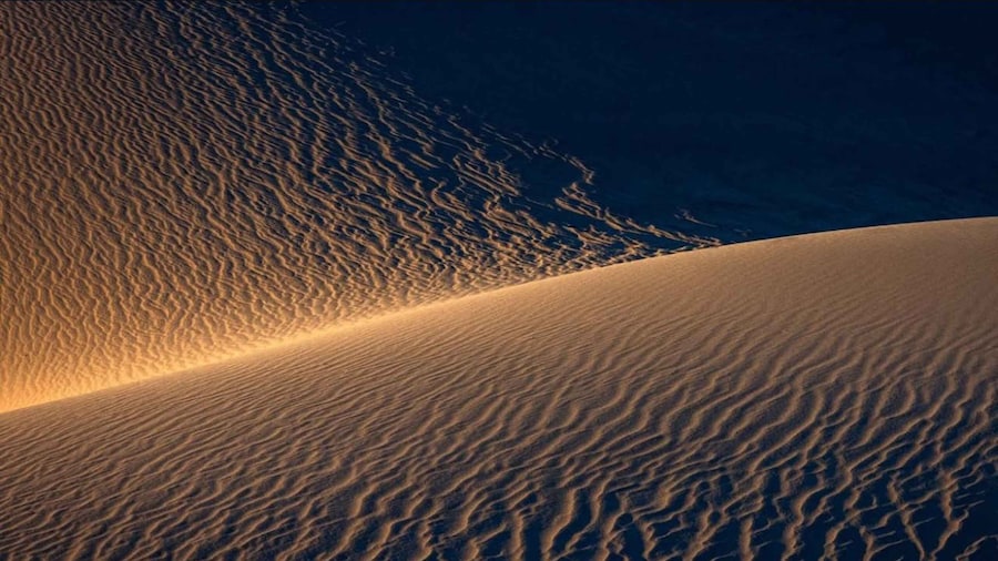 Doha: Nighttime Desert Safari with Dune Bashing & Camel Ride