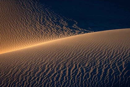 Doha: Nighttime Desert Safari with Dune Bashing & Camel Ride