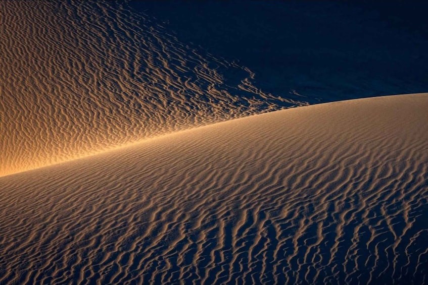 Doha: Nighttime Desert Safari with Dune Bashing & Camel Ride