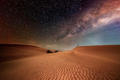 Doha: Nighttime Desert Safari with Dune Bashing & Camel Ride