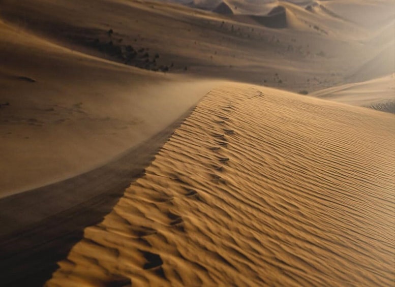 Picture 1 for Activity Doha: Nighttime Desert Safari with Dune Bashing & Camel Ride