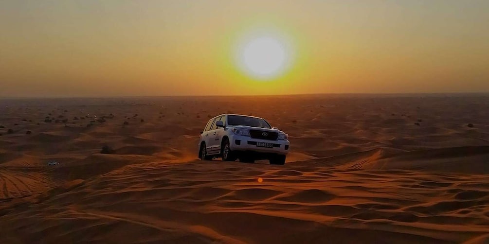 Picture 4 for Activity Doha: Nighttime Desert Safari with Dune Bashing & Camel Ride