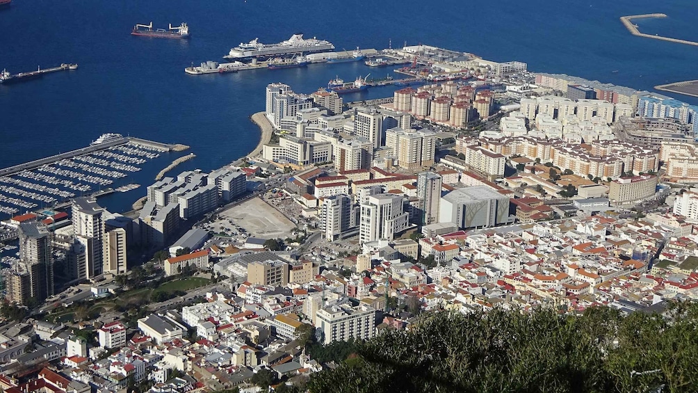 Picture 6 for Activity From Malaga: Rock of Gibraltar Private Skip-the-Line Tour