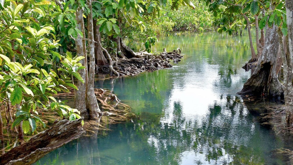 Lake in Krabi 