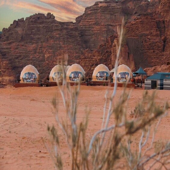 Picture 8 for Activity Amman Private Tour Petra Wadi Rum And Dead Sea 2day Bubble